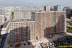 31 июля 2025