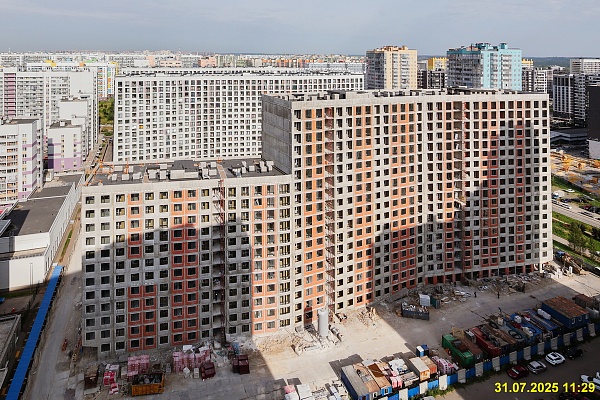31 июля 2025