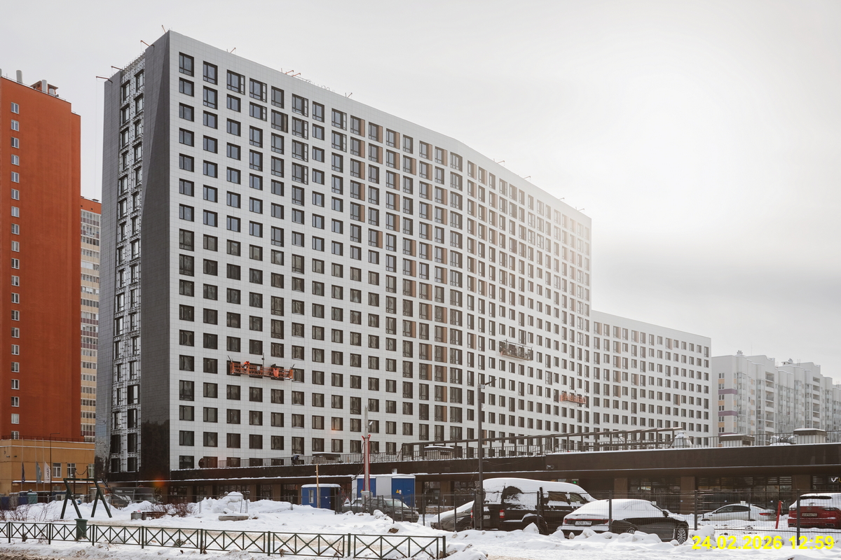 27 февраля 2026