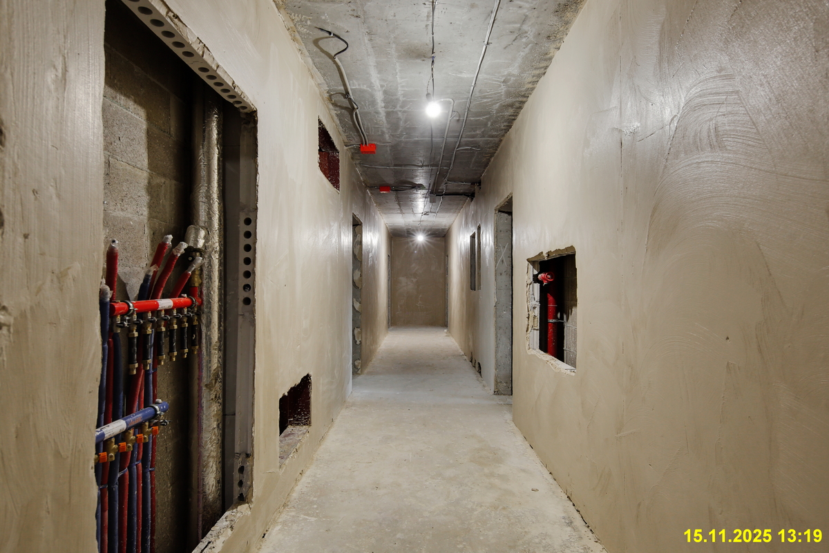 15 ноября 2025