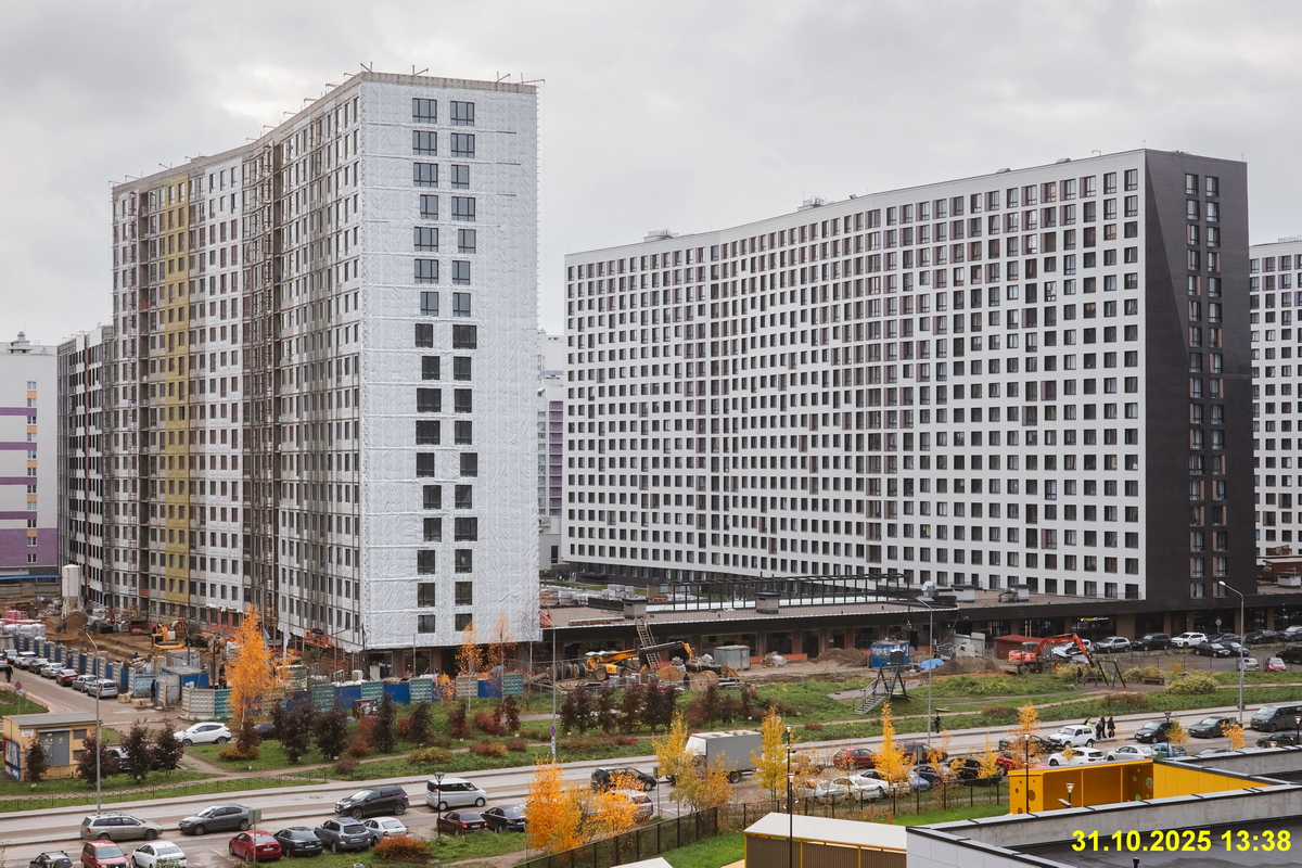 31 октября 2025