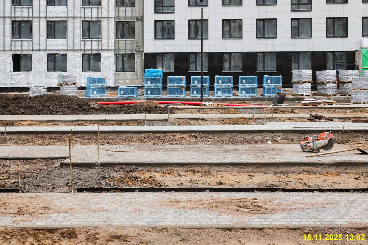 15 ноября 2025