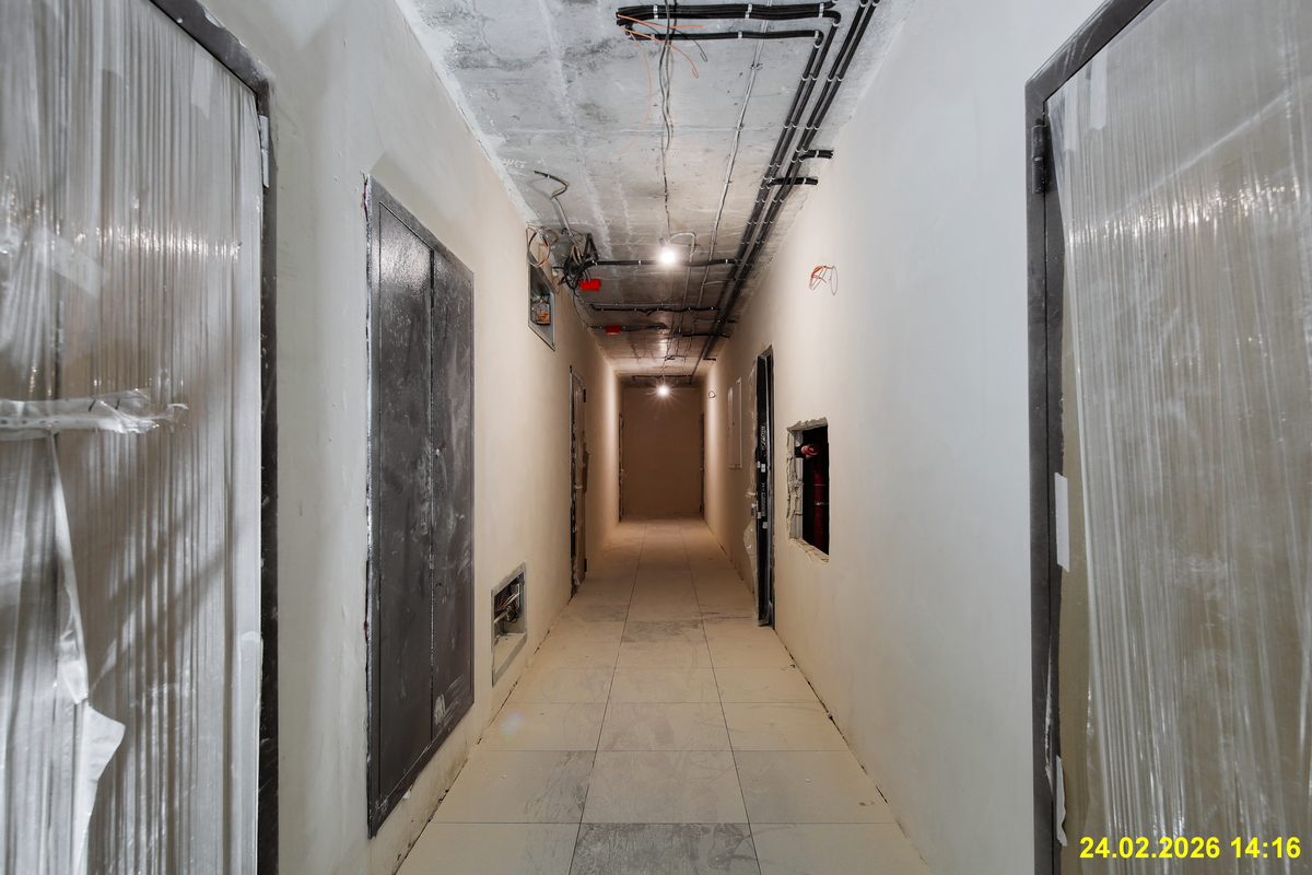 27 февраля 2026