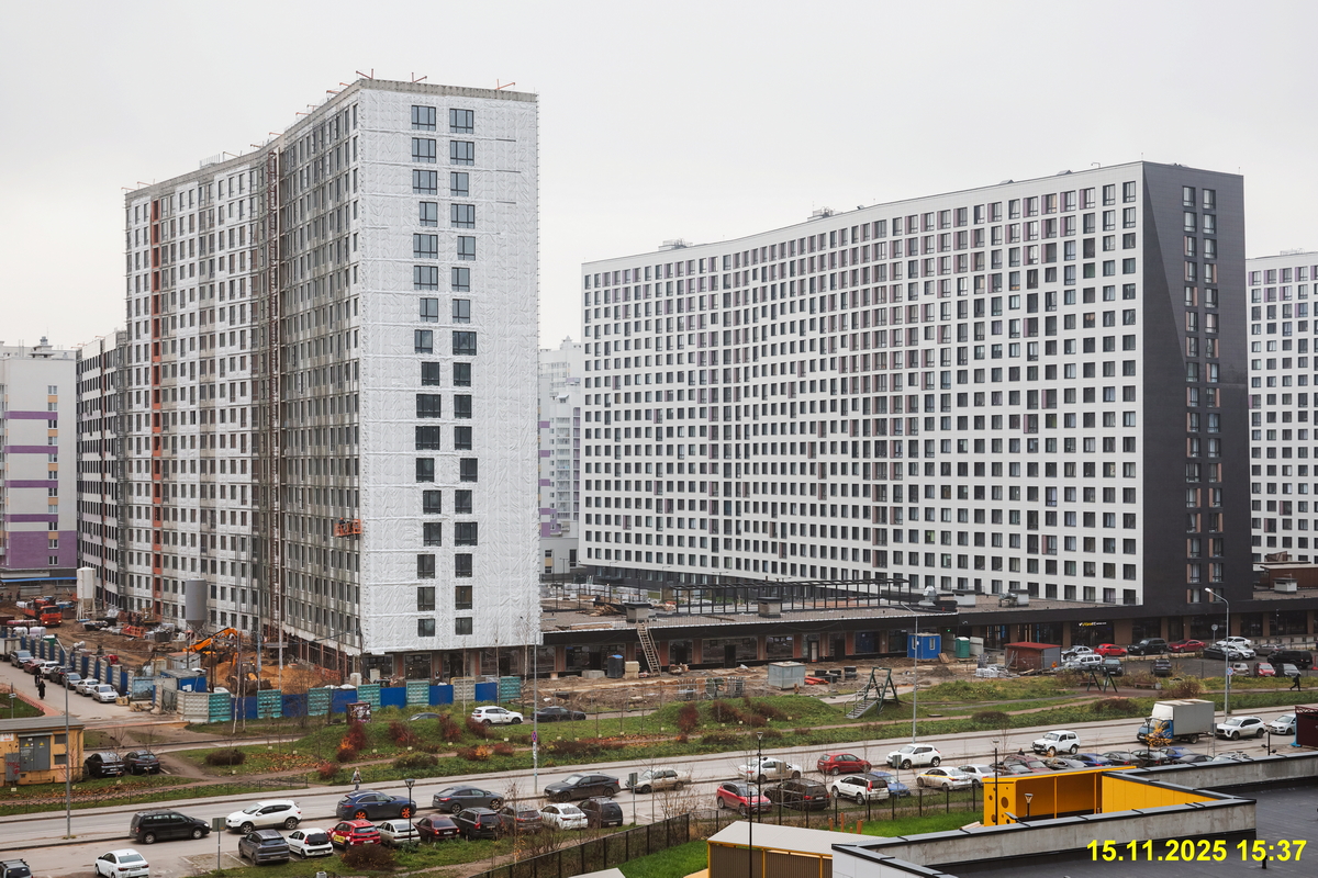 15 ноября 2025