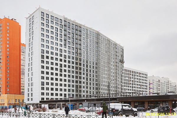 31 декабря 2025