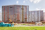 31 августа 2025 31 августа 2025